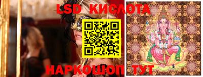 ГАЛЛЮЦИНОГЕННЫЕ ГРИБЫ Сланцы